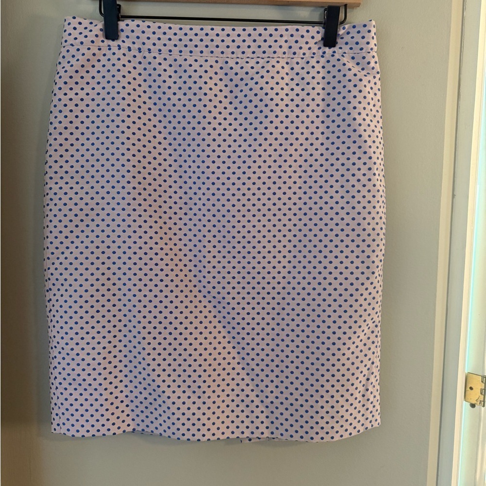 J. Crew Blue and Cream Knee-Length Pencil Skirt - Picture 9 of 9